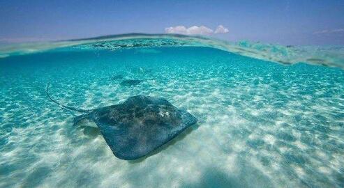 什么是離岸公司,離岸公司有什么優缺點？