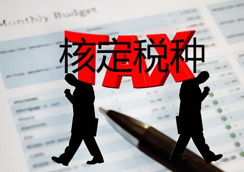 核定稅種 核定稅種
