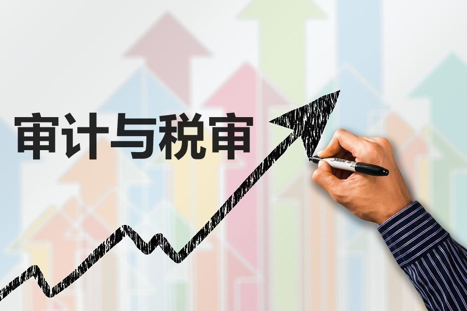 稅審報告和審計報告是什么？對企業有什么好處？兩者有什么區別