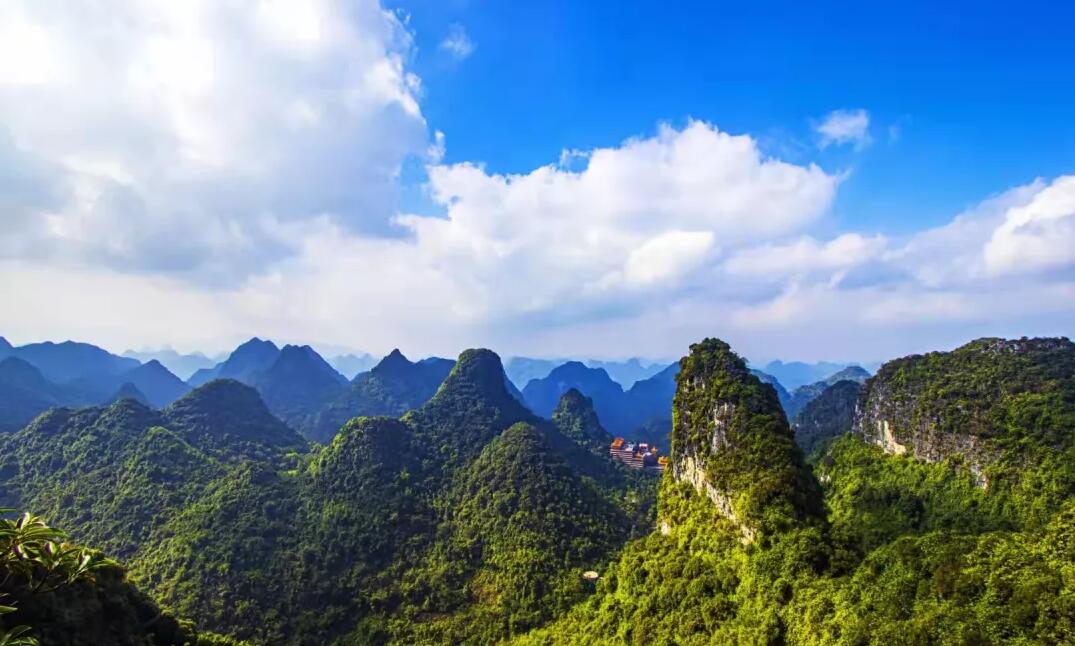 稅籌,還是稅坑? 稅籌,還是稅坑?