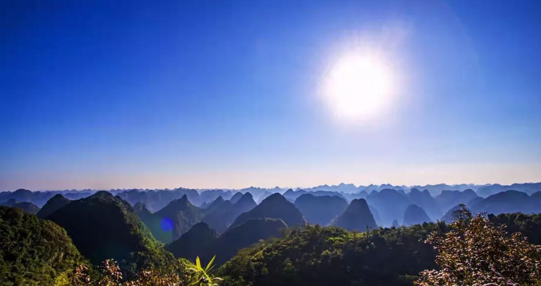 稅籌,還是稅坑? 稅籌,還是稅坑?