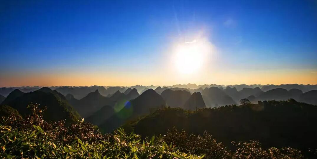 稅籌,還是稅坑? 稅籌,還是稅坑?