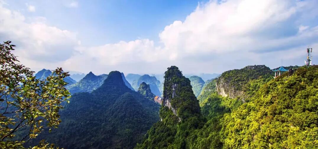 稅籌,還是稅坑? 稅籌,還是稅坑?