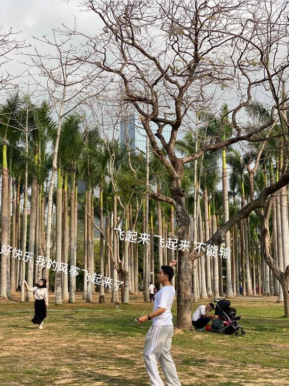 三月春意昂·結伴探春風——君林企業踏青活動掠影 