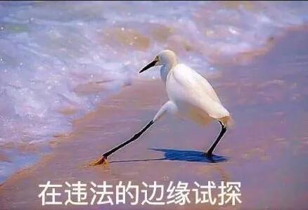 一個廣告被罰30萬！深圳發出廣告宣傳導向審查“十禁令”！