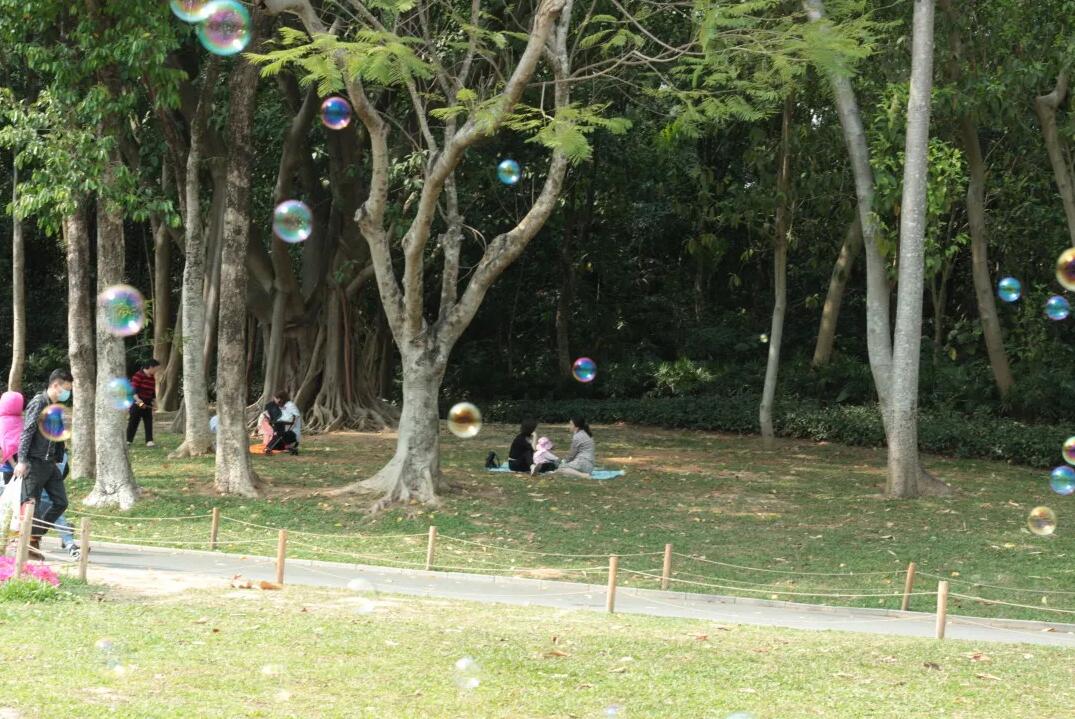 三月春意昂·結伴探春風——君林企業踏青活動掠影 