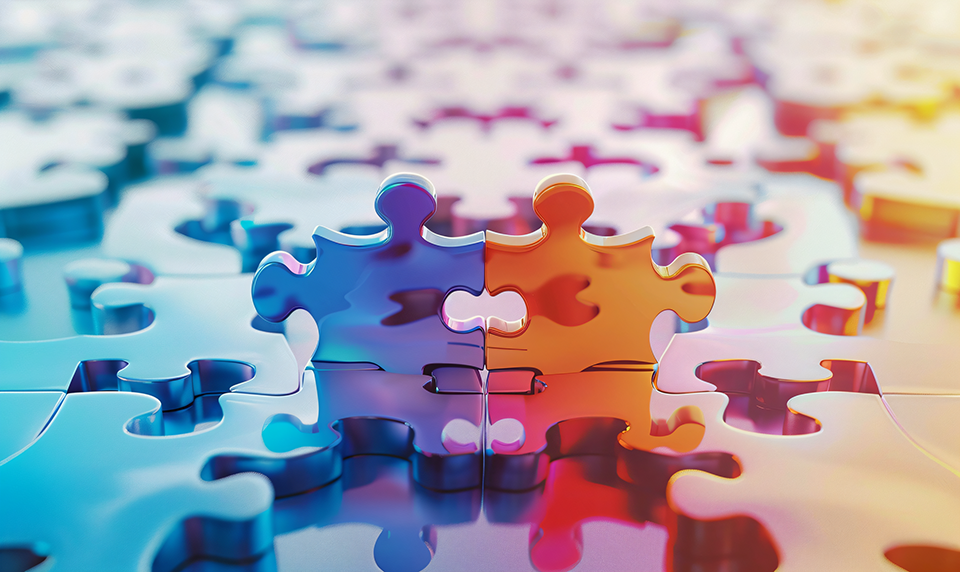 香港公司在國(guó)內(nèi)設(shè)立子公司,促進(jìn)經(jīng)濟(jì)合作與發(fā)展 香港公司在國(guó)內(nèi)設(shè)立子公司,促進(jìn)經(jīng)濟(jì)合作與發(fā)展