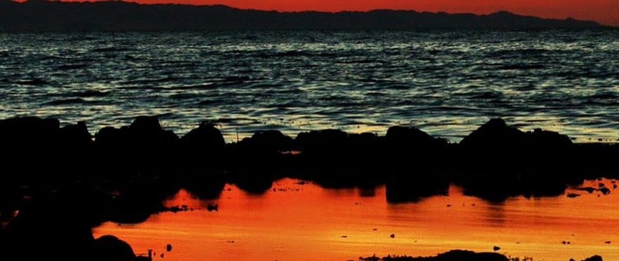 2025馬紹爾公司注冊全指南，流程、優惠與實用價值（小白一看就懂）